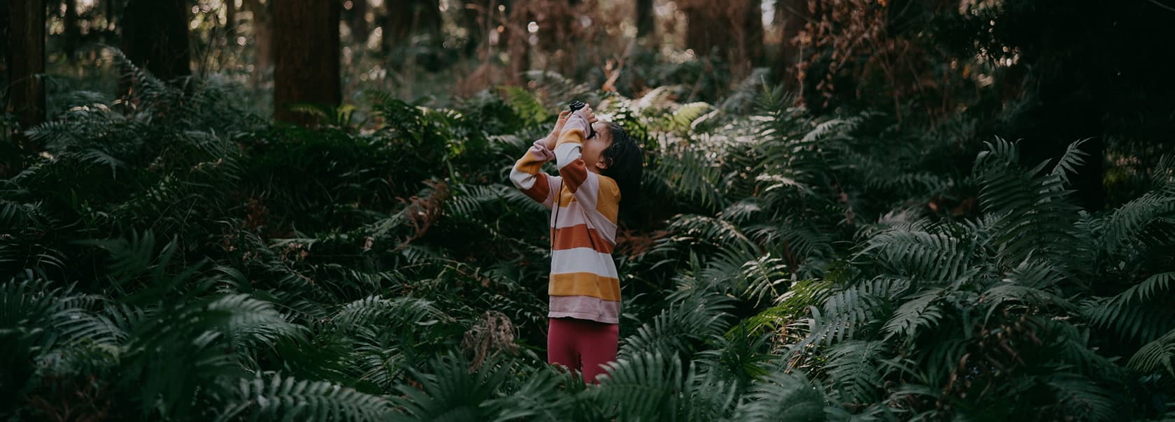 Cómo conservar la biodiversidad del planeta gracias a la tecnología