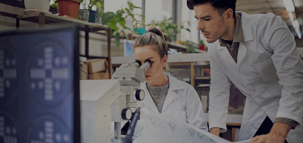 Neuroestrategia para entender y aportar valor diferencial al cliente