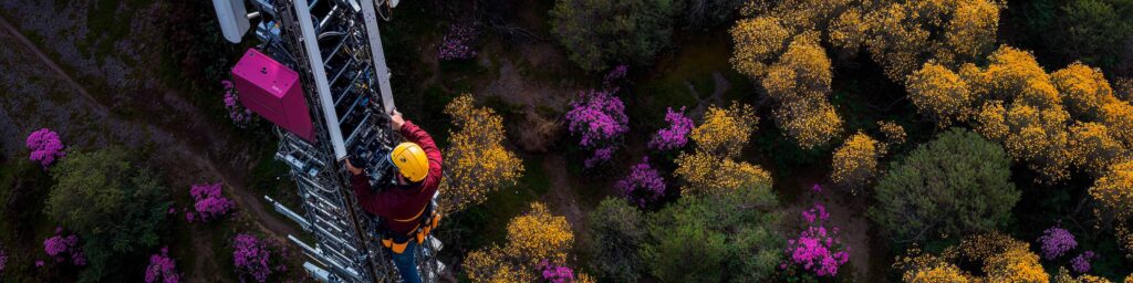 The Lyntia Case: Digital Transformation with Microsoft Dynamics 365 Business Central Cloud